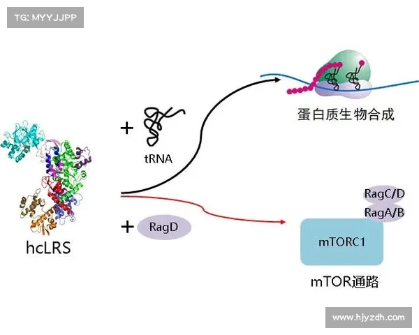 从化整为零视角解析星系演化过程中的关键动力学机制与结构演化 从化整为零视角解析星系演化过程中的关键动力学机制与结构演化