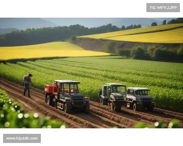安联通过赞助策略提升品牌影响力的多维路径与实践解析