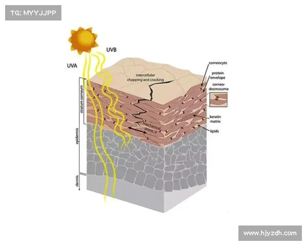 意甲俱乐部为何难以建造新球场原因探讨及其背后复杂因素