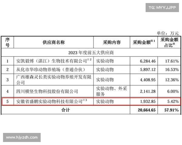 全面解读欧协杯决赛赛制规则与关键流程梳理深度解析指南篇目